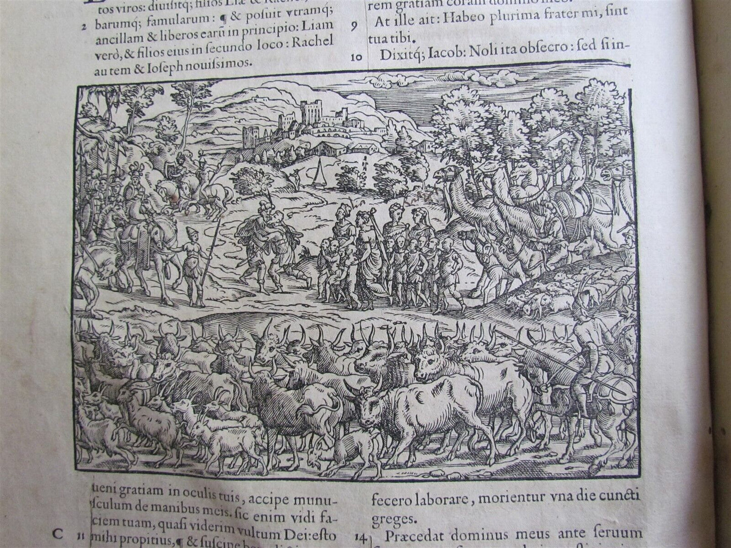 1566 BIBLE ILLUSTRATED by JOST AMMAN antique RARE Sigismund Feierabend FOLIO