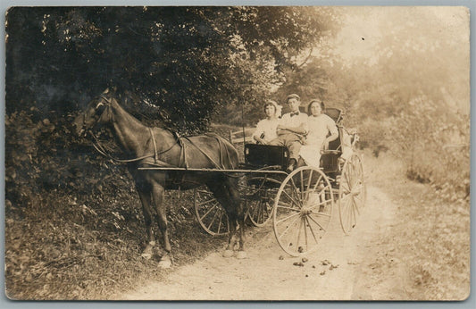 HORSE DRAWN CART ANTIQUE REAL PHOTO POSTCARD RPPC