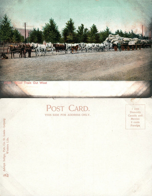 FARM SCENE WOOL TRAIN OUT WEST UNDIVIDED ANTIQUE POSTCARD