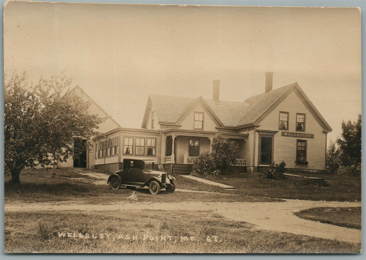 ASH POINT ME WELLSLEY ANTIQUE REAL PHOTO POSTCARD RPPC OLD CAR & DOG