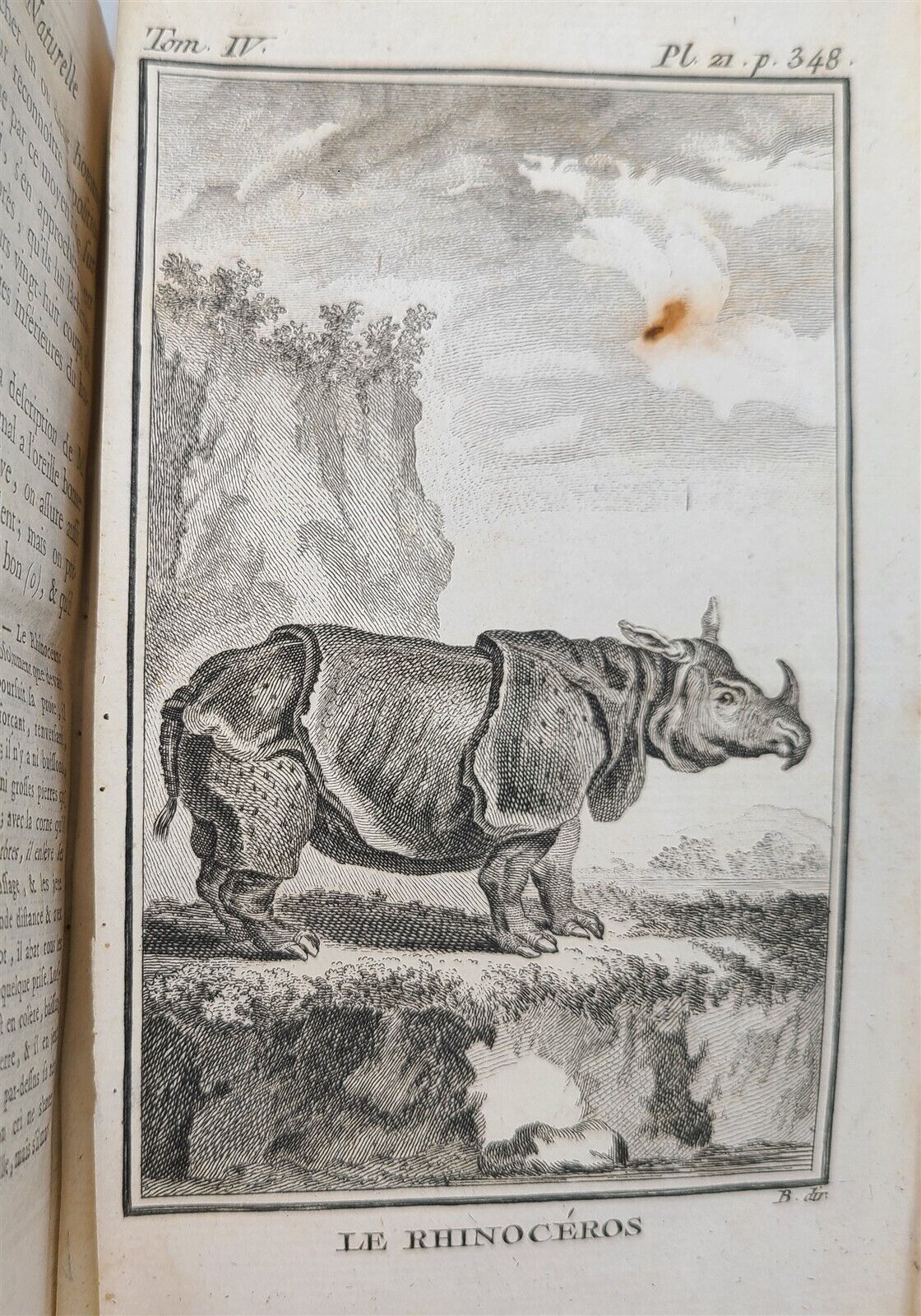 1774 NATURAL HISTORY by BUFFON 21 volumes antique ILLUSTRATED w/ 284 PLATES