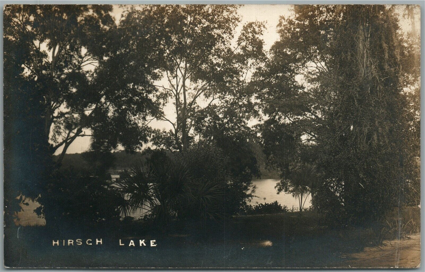 SHOHOLA TOWNSHIP PA HIRSCH LAKE ANTIQUE REAL PHOTO POSTCARD RPPC