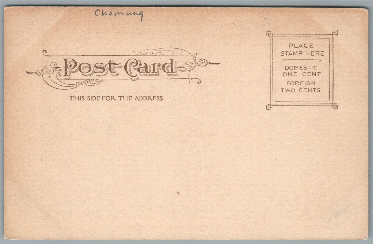 ELMIRA NY WEST WATER STREET ANTIQUE POSTCARD