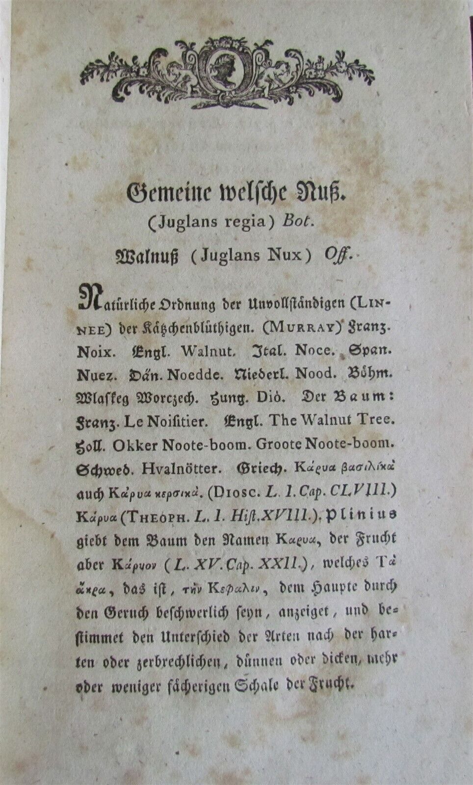 1794 PHARMACOLOGY TREATISE on NUSHELLS by J Friderich ANTIQUE in German PHARMACY