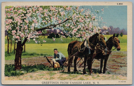 YANKEE LAKE NY GREETINGS FARM SCENE VINTAGE POSTCARD