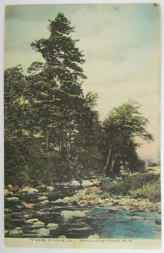 ANTIQUE 1914 POSTCARD THE PINES BRUSHTON N.Y.