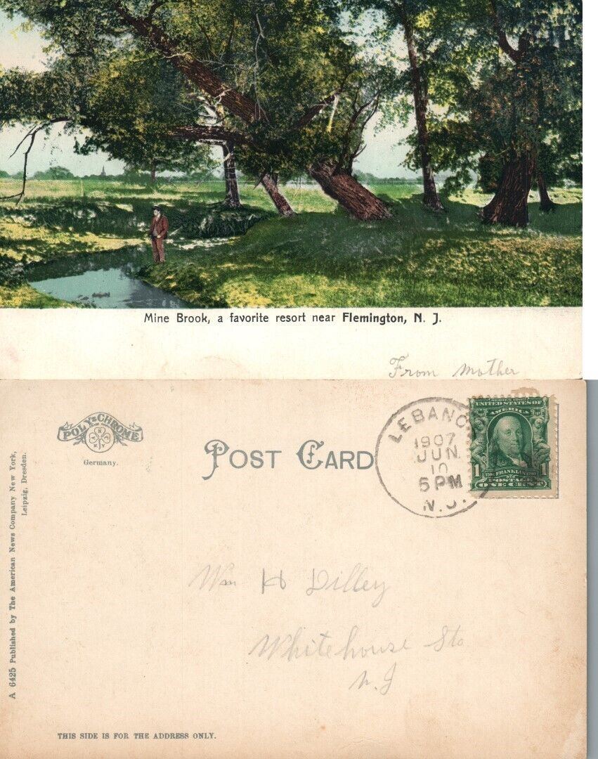 FLEMINGTON N.J. MINE BROOK RESORT UNDIVIDED ANTIQUE POSTCARD