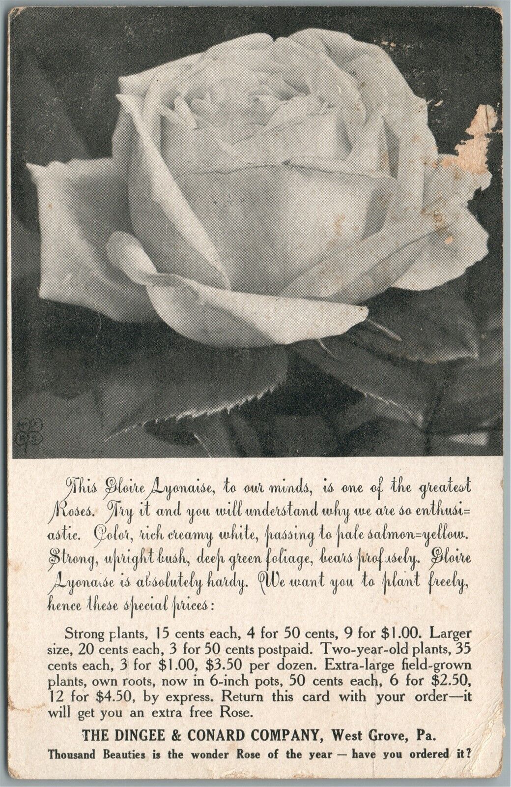 WEST GROVE PA ADVERTISING ANTIQUE POSTCARD DINCEE & CONARD COMPANY