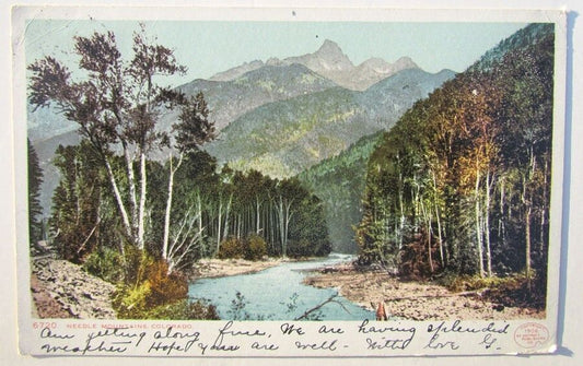 1906 VINTAGE POSTCARD NEEDLE MOUNTAINS COLORADO