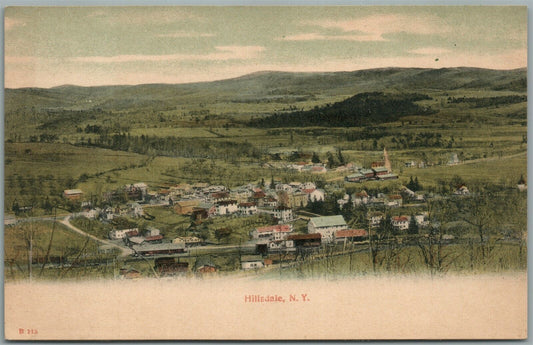 HILLSIDE NY BIRDS EYE VIEW ANTIQUE POSTCARD