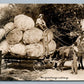 EXAGGERATED CABBAGE HORSE CART ANTIQUE REAL PHOTO POSTCARD RPPC