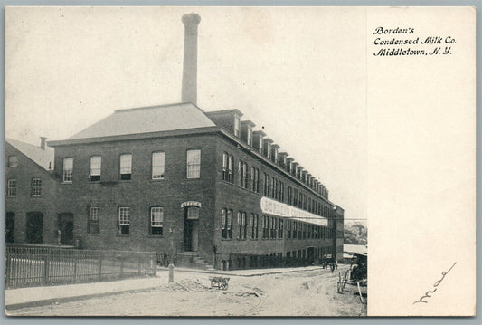 MIDDLETOWN NY BORDEN'S CONDENSED MILK CO. ANTIQUE POSTCARD