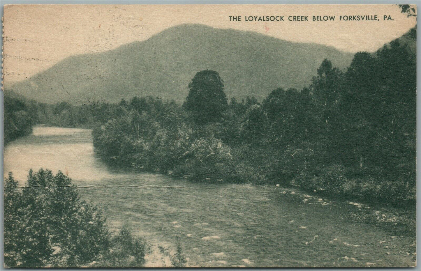 FORKSVILLE PA LOYALSOCK CREEK VINTAGE POSTCARD