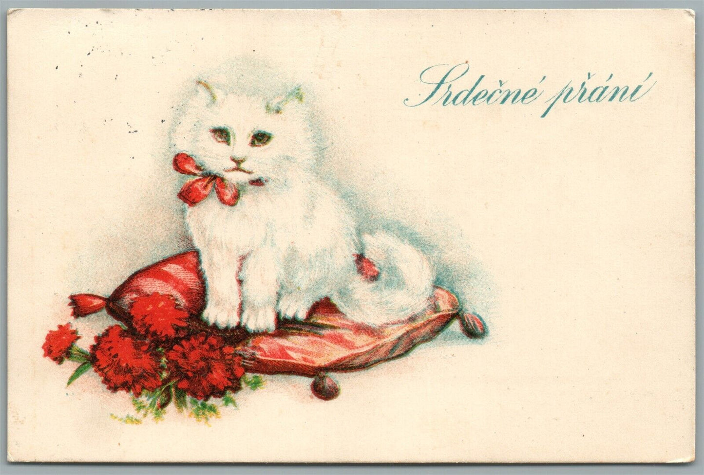 CUTE CAT CZECH ANTIQUE POSTCARD