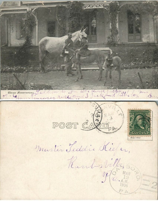 THREE GENERATIONS HORSES ANTIQUE 1906 REAL PHOTO POSTCARD RPPC