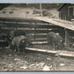FARM SCENE PIGS FEEDING ANTIQUE REAL PHOTO POSTCARD RPPC