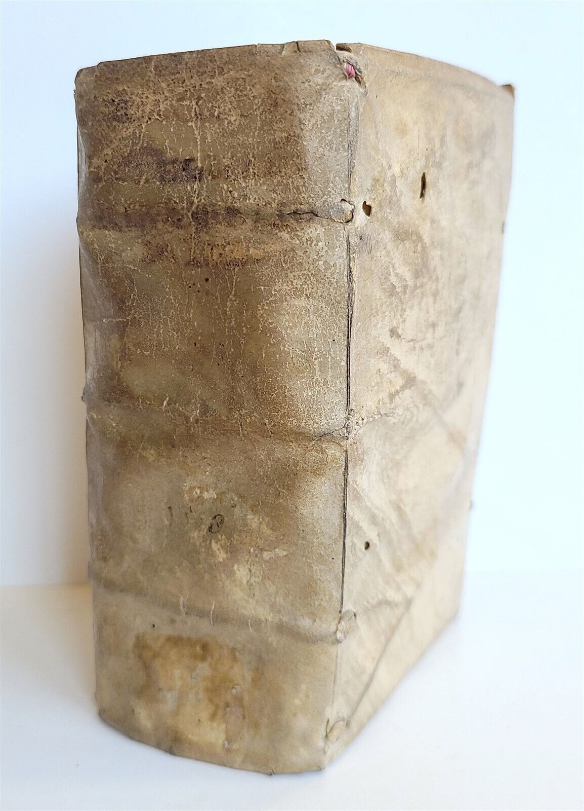 1553 Elucidatio paraphrastica in librum D. Iob by Franz Titelmans antique VELLUM