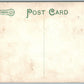TRAFFORD CITY PA THE FLATS ANTIQUE POSTCARD