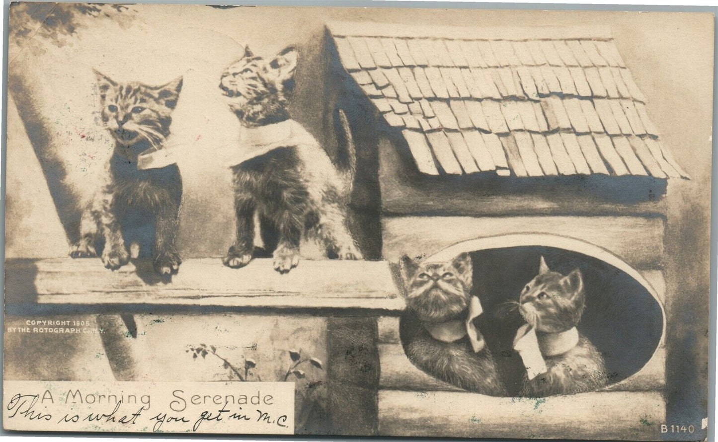 SINGING CATS MORNING SERENADE ANTIQUE REAL PHOTO POSTCARD RPPC