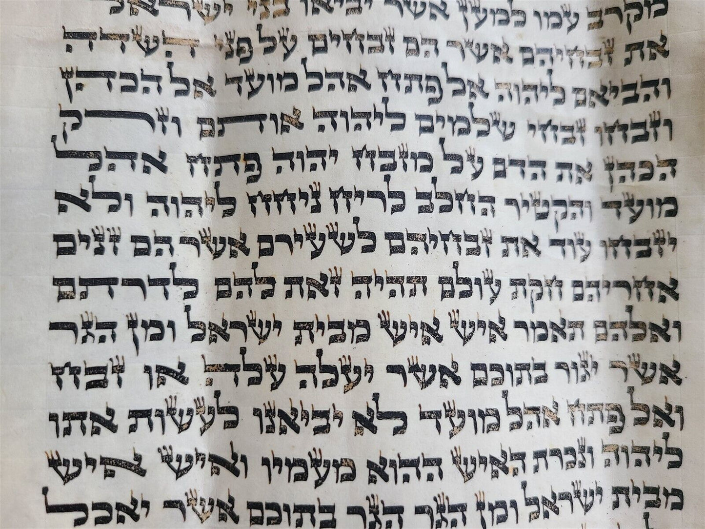 TORAH SCROLL FRAGMENT MANUSCRIPT on VELLUM ANTIQUE BIBLE 18.5 x 19.5"