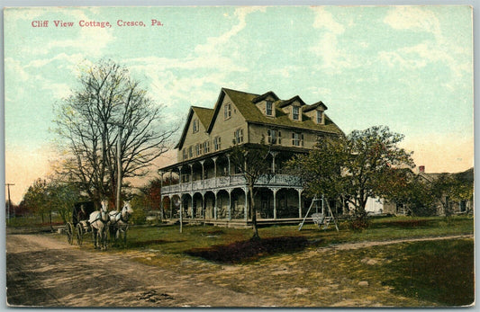 CRESCO PA CLIFF VIEW COTTAGE ANTIQUE POSTCARD