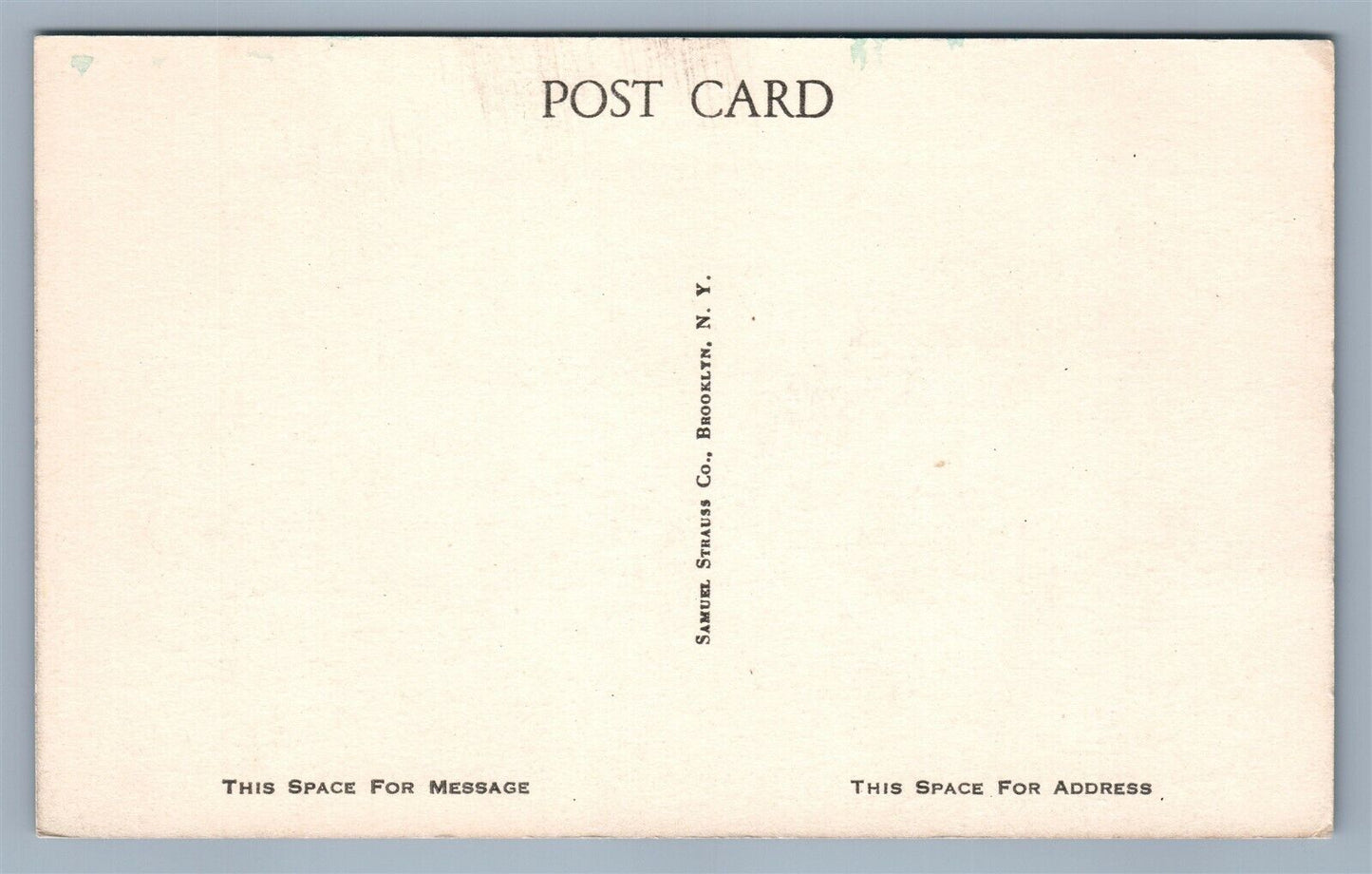 SEA GIRT NJ CHICAGO BOULEVARD ANTIQUE POSTCARD