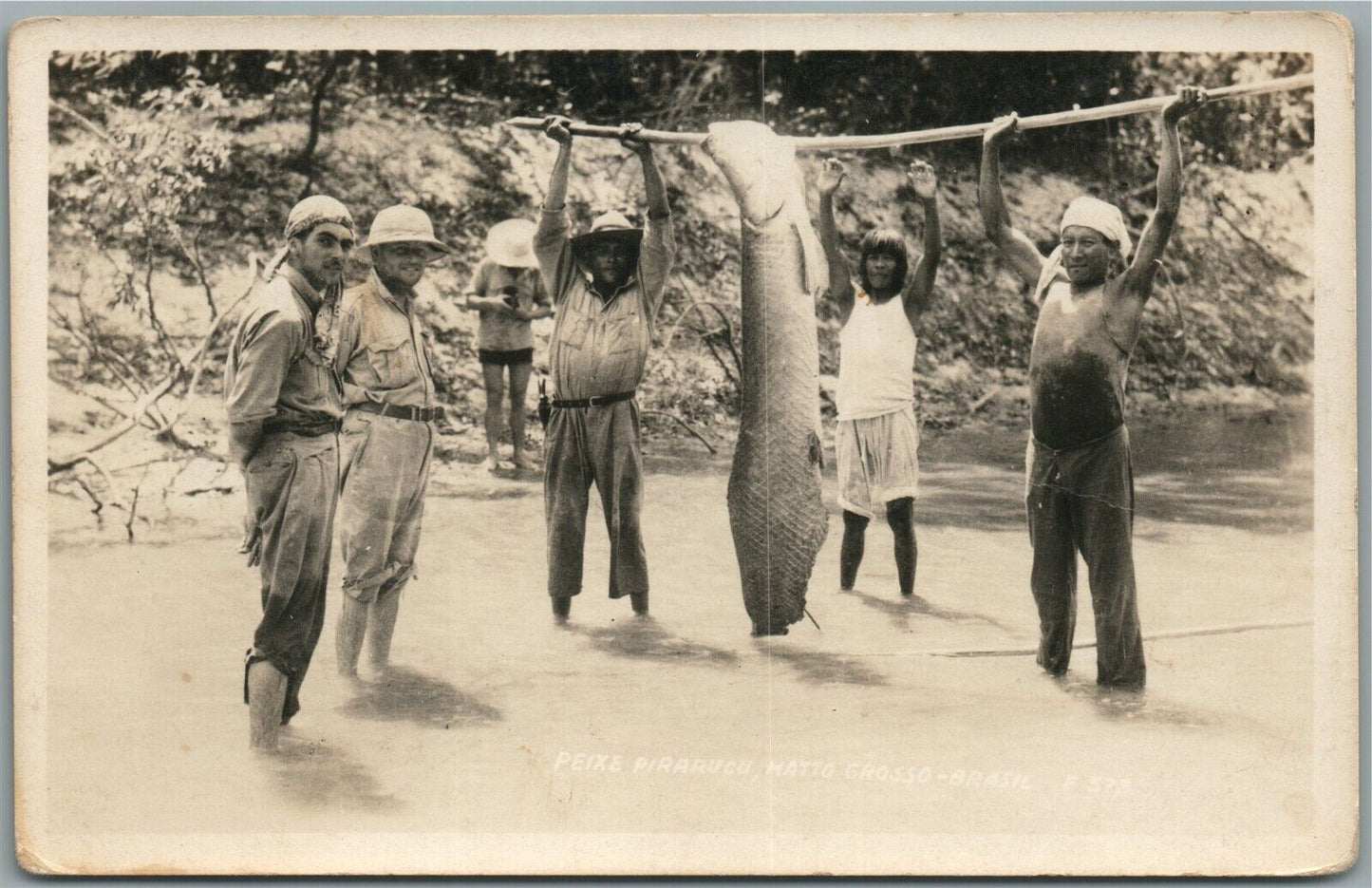 BRAZIL FISHERMEN w/ HUGE FISH PIRARUCU ANTIQUE REAL PHOTO POSTCARD RPPC