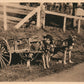 DOG w/ EYE GLASSES in HAT CANADA VINTAGE POSTCARD