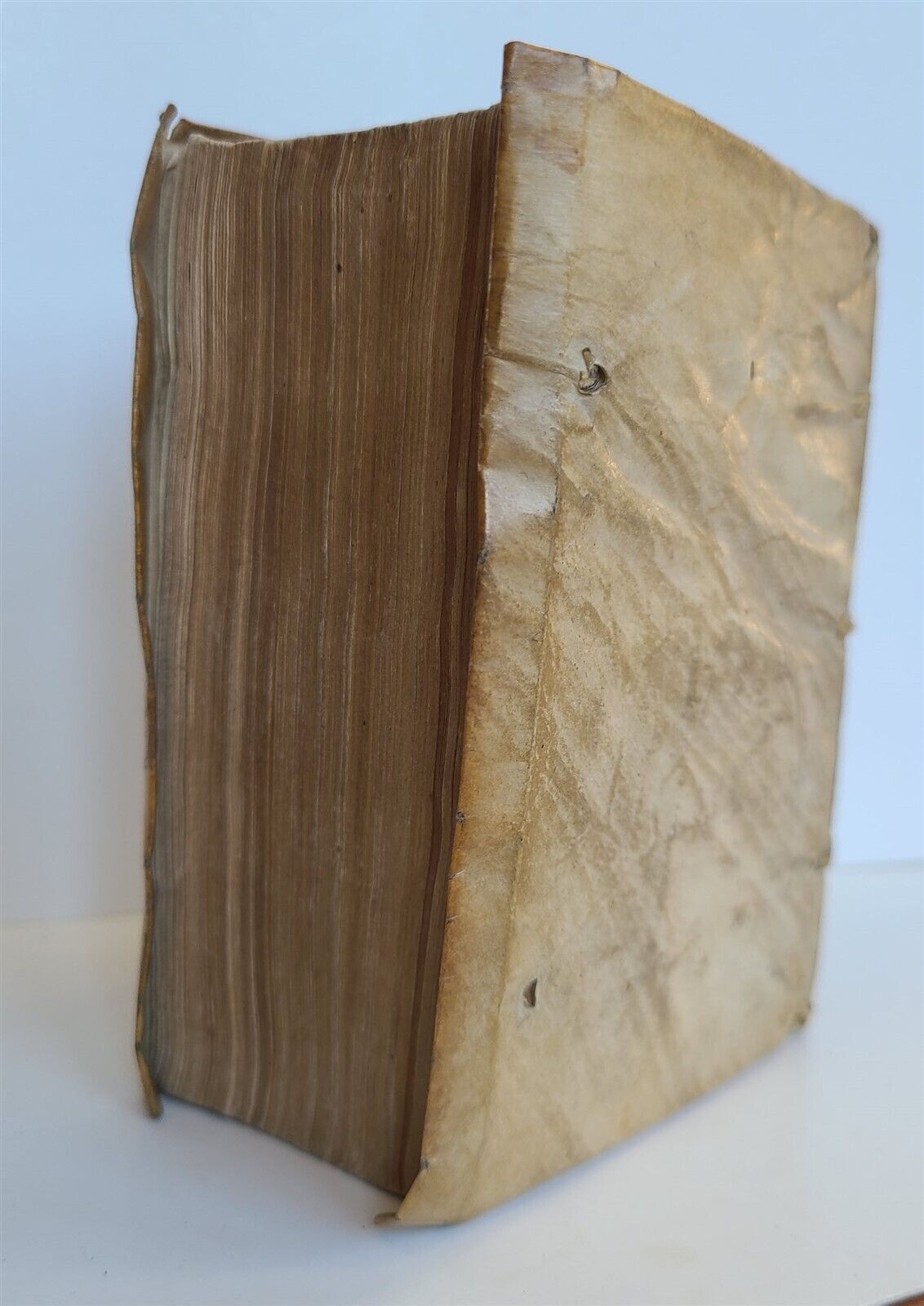 1553 Elucidatio paraphrastica in librum D. Iob by Franz Titelmans antique VELLUM