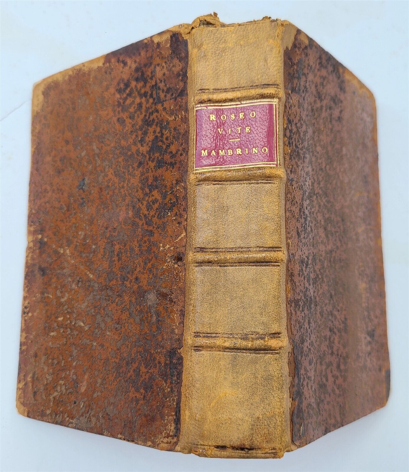 1544 LIFE of TWELVE CAESARS by SUETONIUS antique 16th century