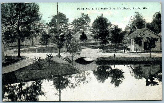 PARIS MI STATE FISH HATCHERY ANTIQUE POSTCARD