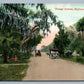 DAYTONA FL ORANGE AVENUE ANTIQUE POSTCARD