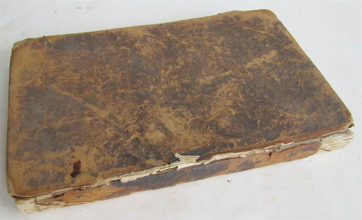 1810 BLOSSOMS of MORALITY antique PHILADELPHIA AMERICANA illustrated