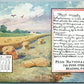 READING PA PENN NATIONAL BANK ADVERTISING ANTIQUE POSTCARD JULY 1910 CALENDAR