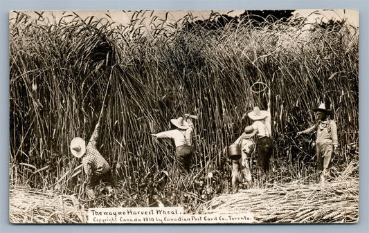 EXAGGERATED WHEAT HARVEST ANTIQUE REAL PHOTO POSTCARD RPPC collage montage farm