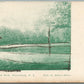 PATTENBURG NJ BELLEWOOD PARK ANTIQUE POSTCARD