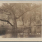 ROCHESTER N.H. INTERVALE ANTIQUE REAL PHOTO POSTCARD RPPC