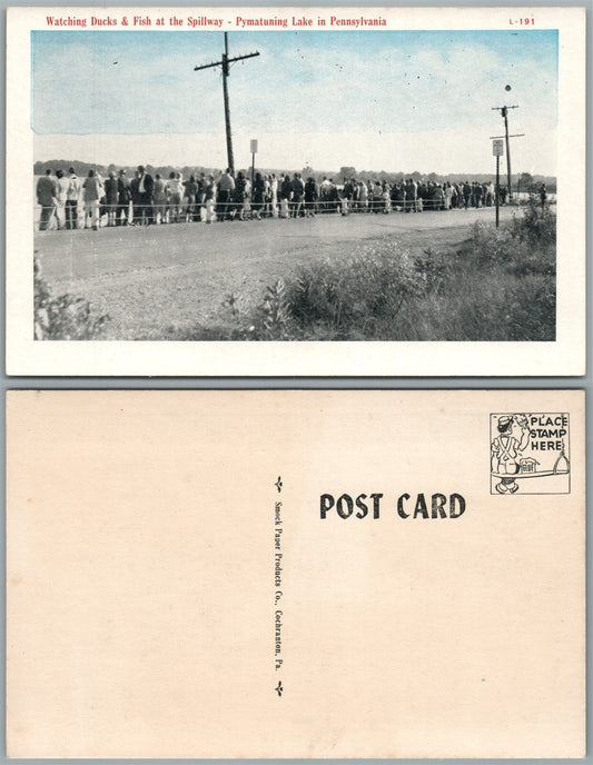 PYMATUNING LAKE PENNSYLVANIA WATCHING DUCKS & FISH AT SPILLWAY ANTIQUE POSTCARD