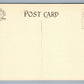 FLEMINGTON NJ EX-SENATOR LARGE'S RESIDENCE ANTIQUE POSTCARD