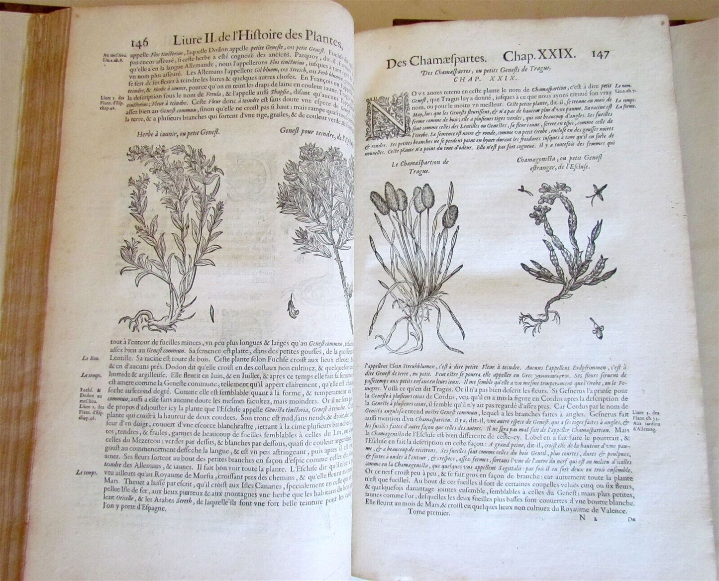 1615 HISTORY of PLANTS by Jacques DALECHAMPS ILLUSTRATED 2 FOLIO VOLUMES antique