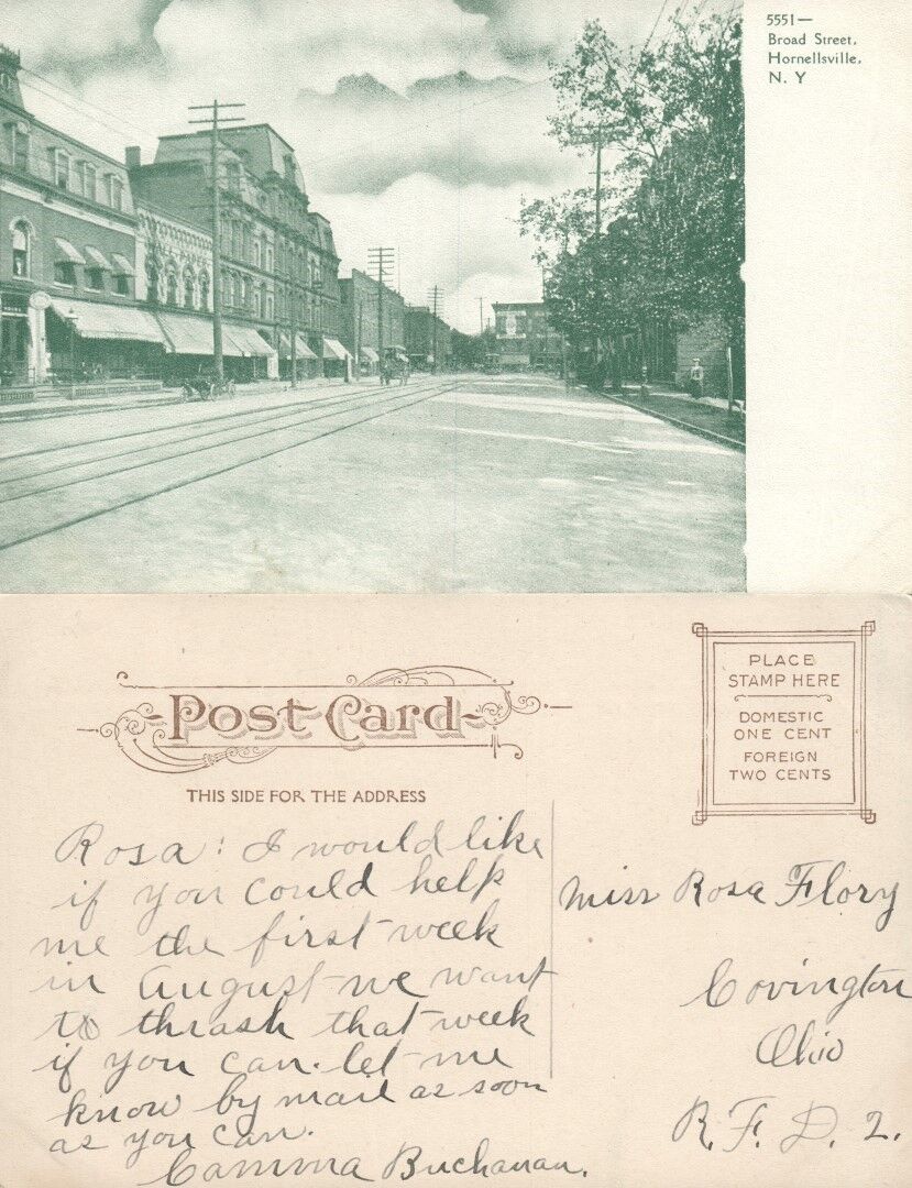 HORNELLSVILLE N.Y. BROAD STREET ANTIQUE POSTCARD