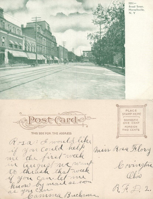HORNELLSVILLE N.Y. BROAD STREET ANTIQUE POSTCARD