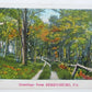 VINTAGE POSTCARD GREETINGS FROM BERRYSBURG PA
