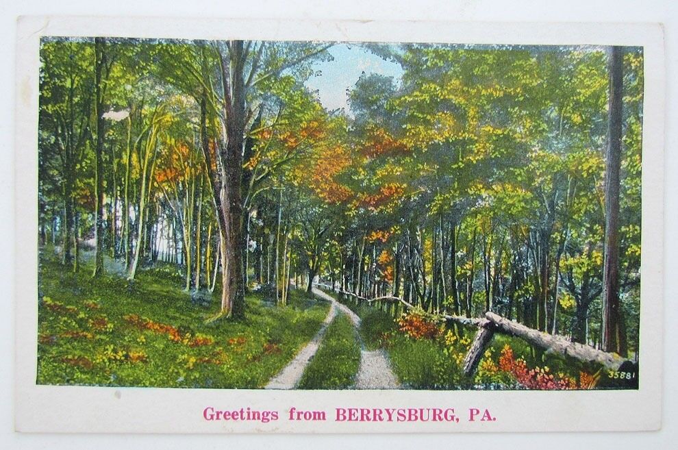 VINTAGE POSTCARD GREETINGS FROM BERRYSBURG PA