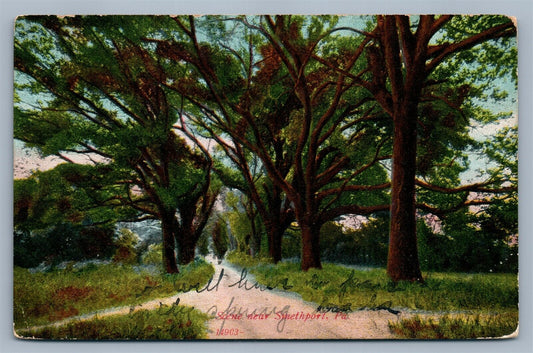 SMETHPORT PA SCENE 1909 ANTIQUE POSTCARD