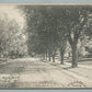 RED BANK NJ MAPLE AVENUE ANTIQUE POSTCARD PRIVATE MAILING CARD