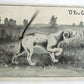 DOG w/ ATTACHED METAL WIRE TAIL MECHANICAL ANTIQUE POSTCARD