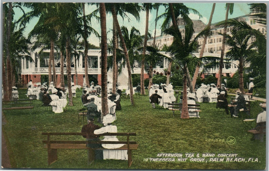 PALM BEACH FL COCOA-NUT GROVE AFTERNOON TEA & BAND CONCERT ANTIQUE POSTCARD