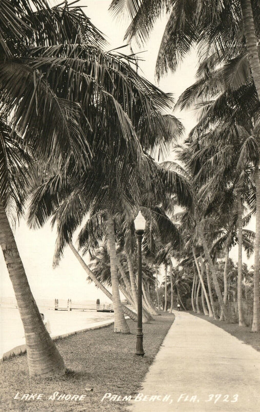 PALM BEACH FL LAKE SHORE VINTAGE REAL PHOTO POSTCARD RPPC