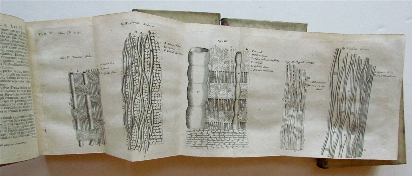 1722 4 VOLS PHYSICA PNEUMATOLOGIA PHILOSOPHIA ORIENTALIS ILLUSTRATED antique